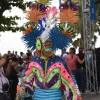 Desfile Nacional Carnaval 2018