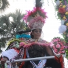 Desfile Nacional Carnaval 2018