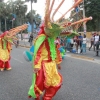 Desfile Nacional Carnaval 2018