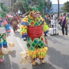 Desfile Nacional Carnaval 2018