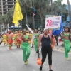 Desfile Nacional Carnaval 2018
