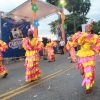 Desfile Nacional Carnaval 2018