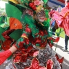 Desfile Nacional Carnaval 2017