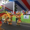 Desfile Nacional Carnaval 2017