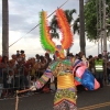 Desfile Nacional Carnaval 2017