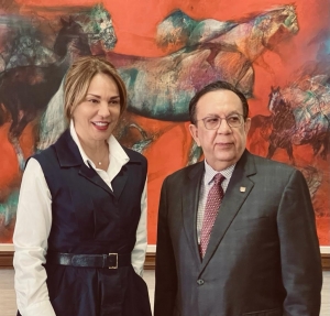Ministra de Cultura solicita al gobernador del Banco Central actualizar informe sobre la Cuenta Satélite de Cultura