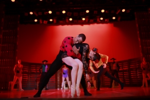 Cultura abre convocatoria para nominaciones al Premio Nacional de las Artes Escénicas