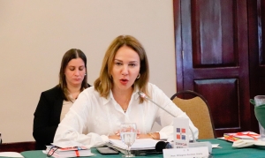 Milagros Germán favorece elaboración políticas para la protección de derechos de artistas y profesionales de la cultura