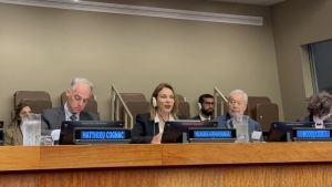Ministra Milagros Germán exhorta en la ONU a priorizar impacto social de la cultura